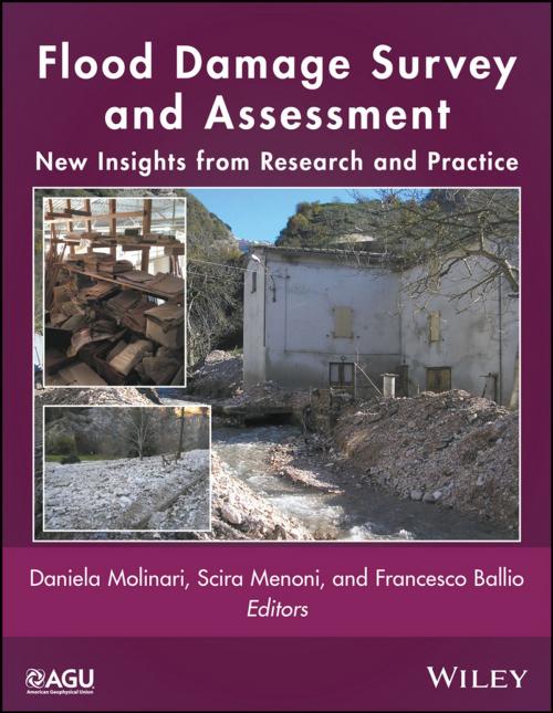 Cover of the book Flood Damage Survey and Assessment by , Wiley