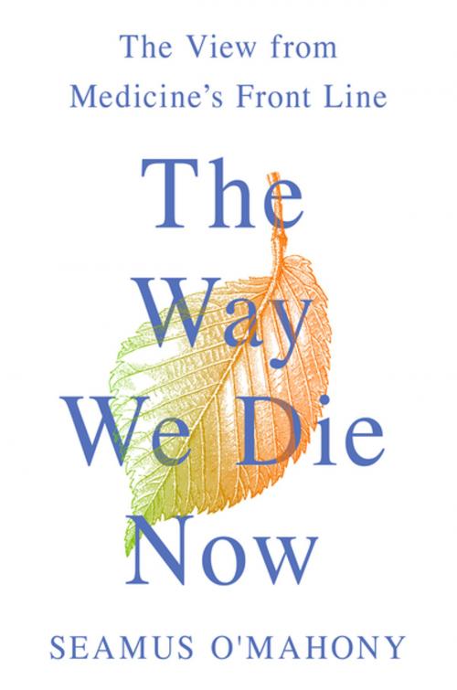 Cover of the book The Way We Die Now by Seamus O'Mahony, St. Martin's Press