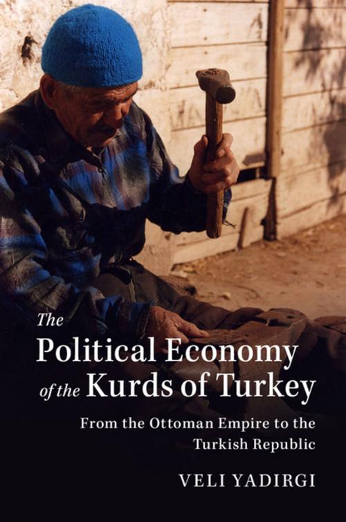 Cover of the book The Political Economy of the Kurds of Turkey by Veli Yadirgi, Cambridge University Press
