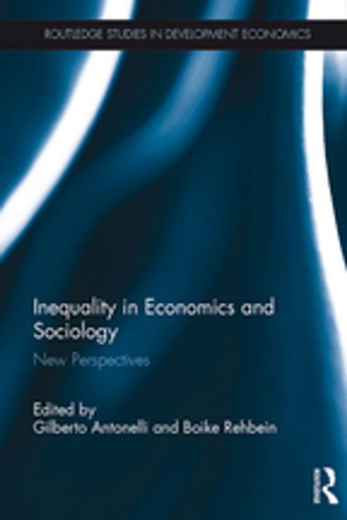 Cover of the book Inequality in Economics and Sociology by , Taylor and Francis