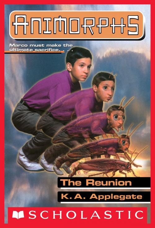 Cover of the book The Reunion (Animorphs #30) by K. A. Applegate, Scholastic Inc.