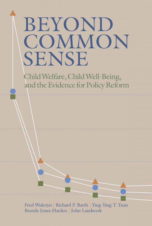 Cover of the book Beyond Common Sense by John Landsverk, Taylor and Francis