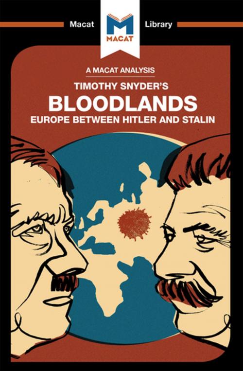 Cover of the book Bloodlands by Helen Roche, Macat Library