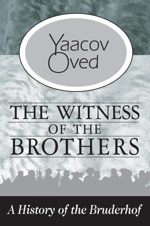 Cover of the book The Witness of the Brothers by Yaacov Oved, Taylor and Francis