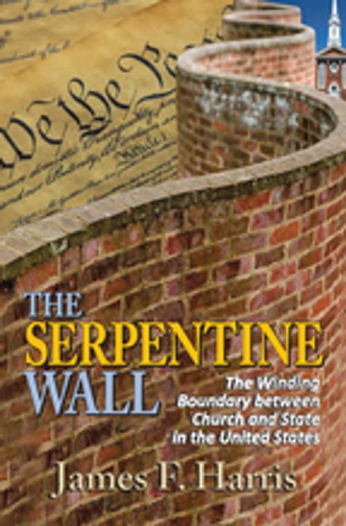 Cover of the book The Serpentine Wall by , Taylor and Francis