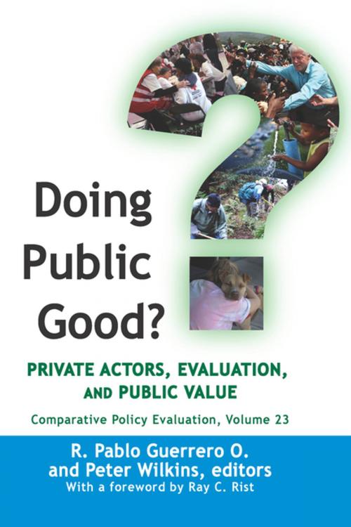 Cover of the book Doing Public Good? by , Taylor and Francis