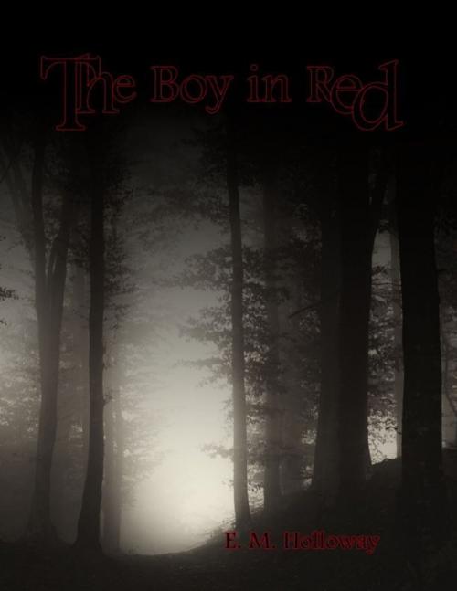 Cover of the book The Boy In Red by E. M. Holloway, Lulu.com