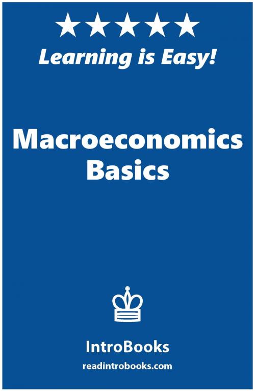 Cover of the book Macroeconomics Basics by IntroBooks, IntroBooks