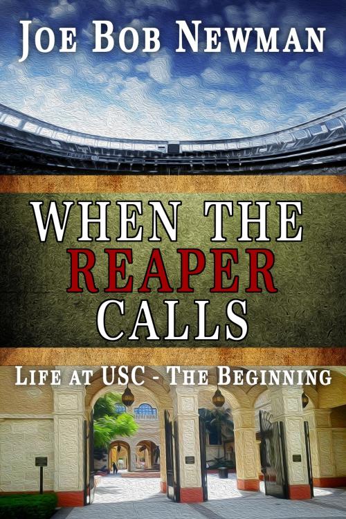Cover of the book When The Reaper Calls by Joe Bob Newman, Joe Bob Newman