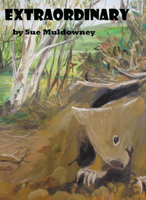 Cover of the book Extraordinary by Sue Muldowney, Sue Muldowney