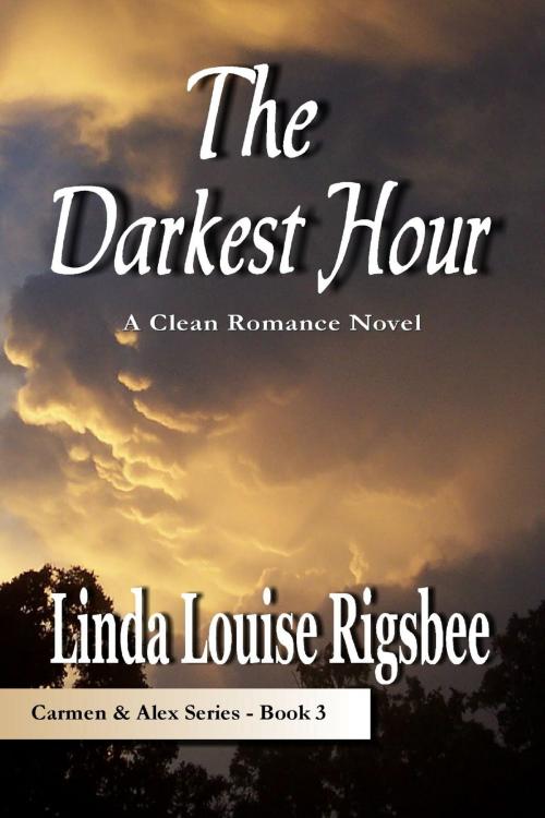 Cover of the book The Darkest Hour by Linda Louise Rigsbee, Linda Louise Rigsbee