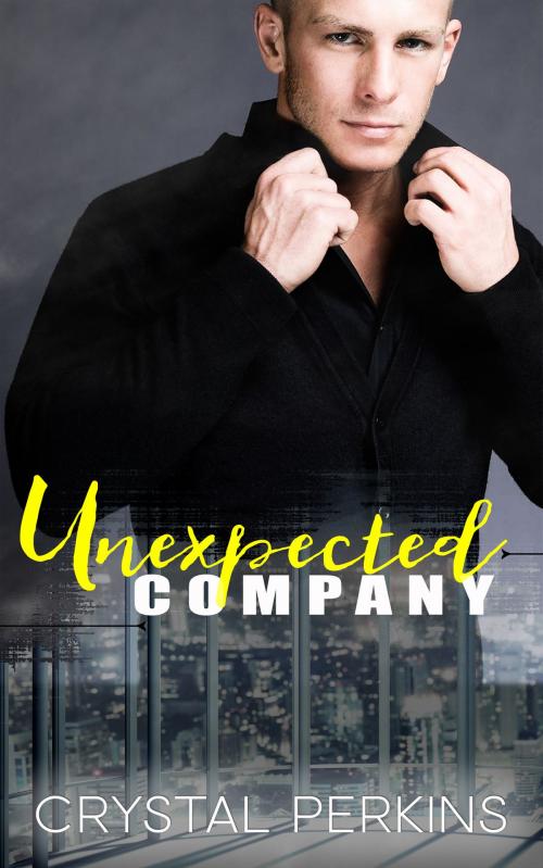 Cover of the book Unexpected Company by Crystal Perkins, Crystal Perkins