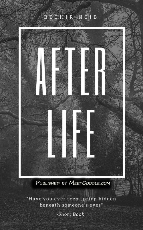 Cover of the book After Life by Bechir Ncib, meetcoogle