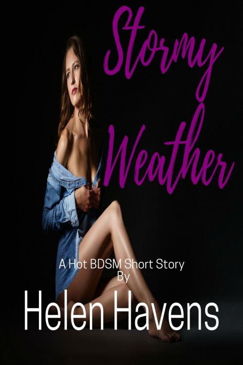Cover of the book Stormy Weather by Helen Havens, Helen Havens