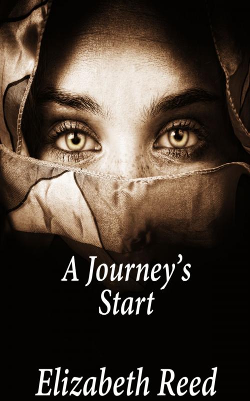 Cover of the book A Journey's Start by Elizabeth Reed, Elizabeth Reed