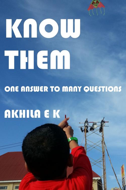 Cover of the book Know Them: One Answer to Many Questions by Akhila E K, Akhila E K
