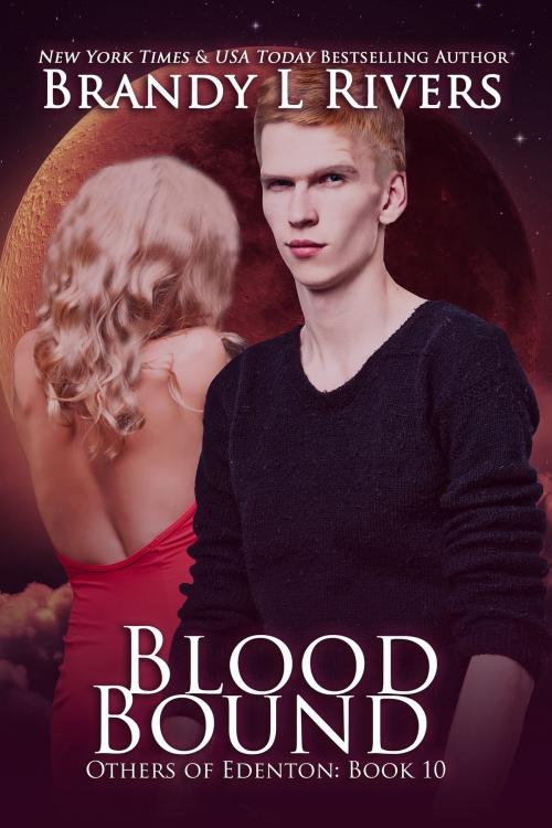 Cover of the book Blood Bound by Brandy L Rivers, Brandy L Rivers