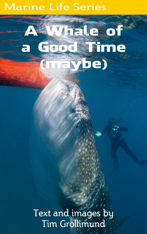 Cover of the book A Whale of a Good Time (Maybe) by Tim Grollimund, Tim Grollimund