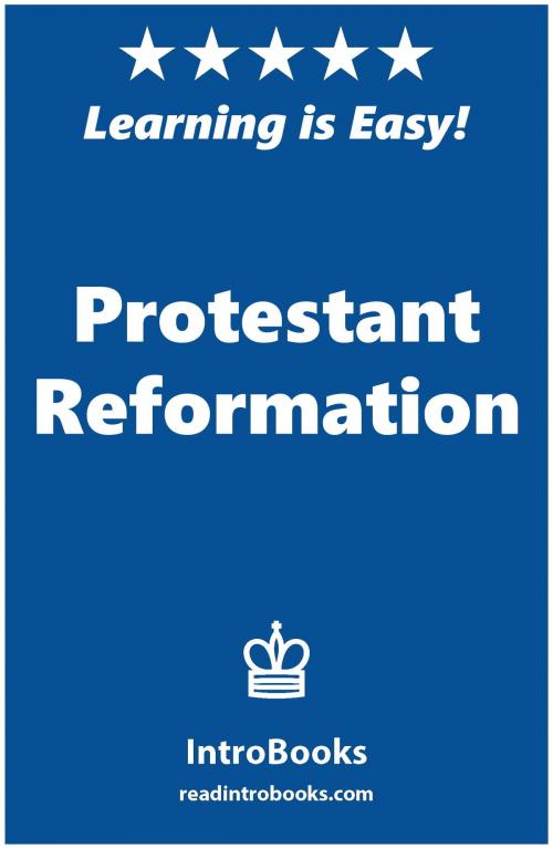 Cover of the book Protestant Reformation by IntroBooks, IntroBooks