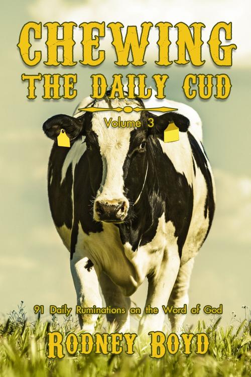 Cover of the book Chewing the Daily Cud, Volume 3 by Rodney Boyd, WordCrafts Press
