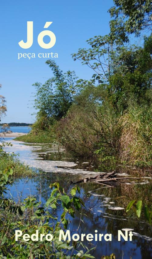 Cover of the book Jó: peça curta by Pedro Moreira Nt, Pedro Moreira Nt
