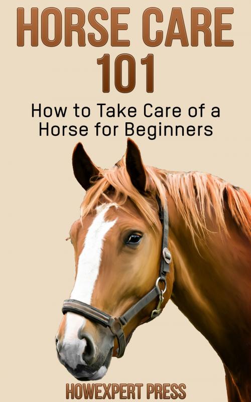 Cover of the book Horse Care 101: How to Take Care of a Horse for Beginners by HowExpert, HowExpert