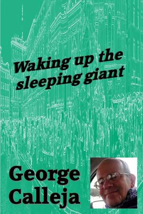 Cover of the book Waking Up The Sleeping Giant by George Calleja, George Calleja