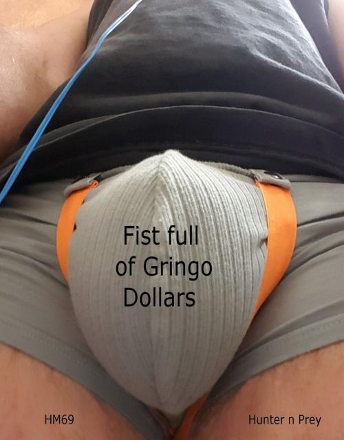 Cover of the book Fist Full of Gringo Dollars by HM69, Huntern Prey, HM69