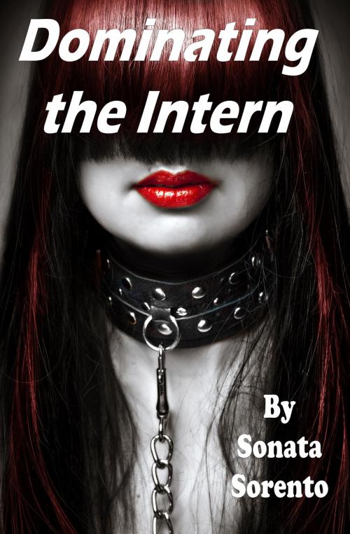 Cover of the book Dominating the Intern by Sonata Sorento, Nothing But Erotica Books