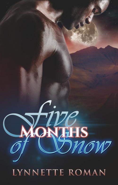 Cover of the book Five Months of Snow by Lynnette Roman, Lynnette Roman