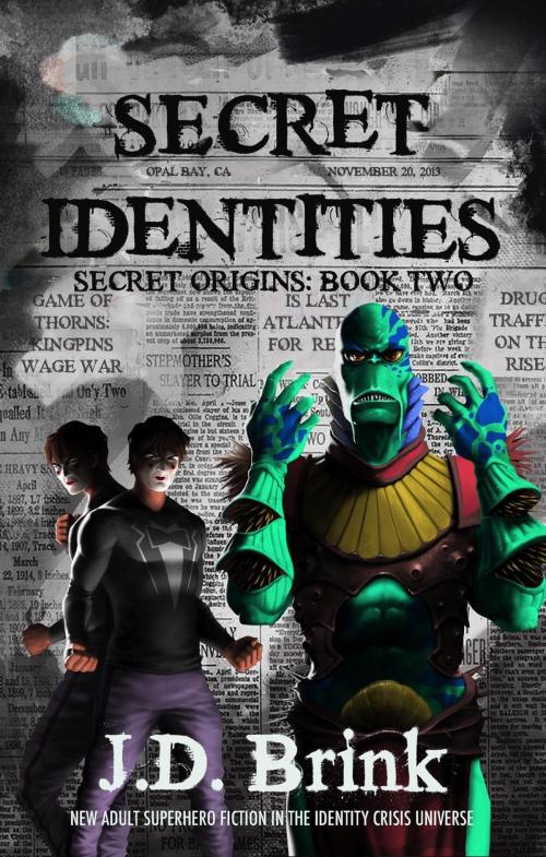 Cover of the book Secret Identities by J. D. Brink, Fugitive Fiction