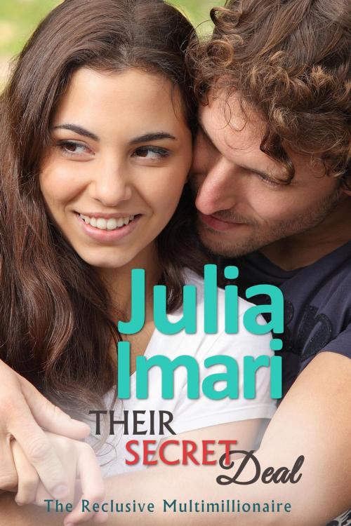Cover of the book Their Secret Deal by Julia Imari, PaulJulia Press