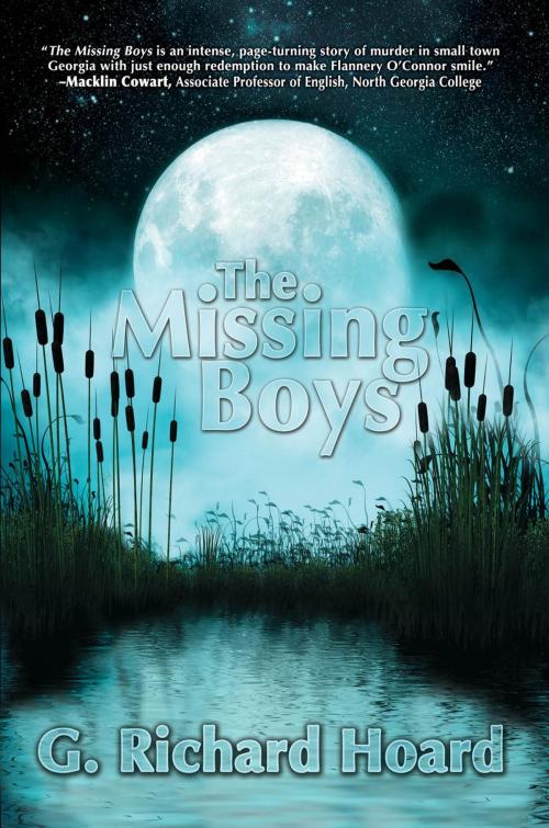 Cover of the book The Missing Boys by G. Richard Hoard, Black Rose Writing