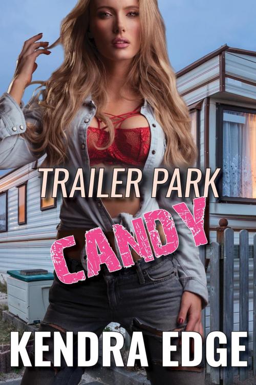 Cover of the book Trailer Park Candy by Kendra Edge, I Love Stacy