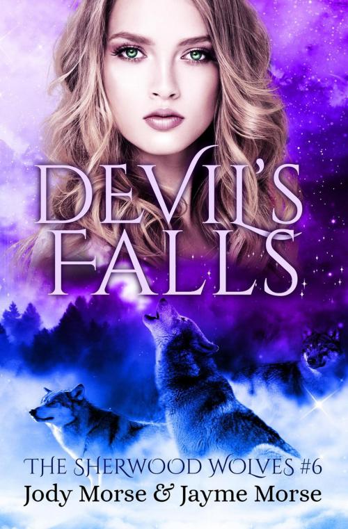 Cover of the book Devil's Falls by Jody Morse, Jayme Morse, Morse Publishing