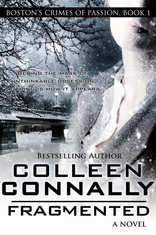 Cover of the book Fragmented by Colleen Connally, Colleen Connally