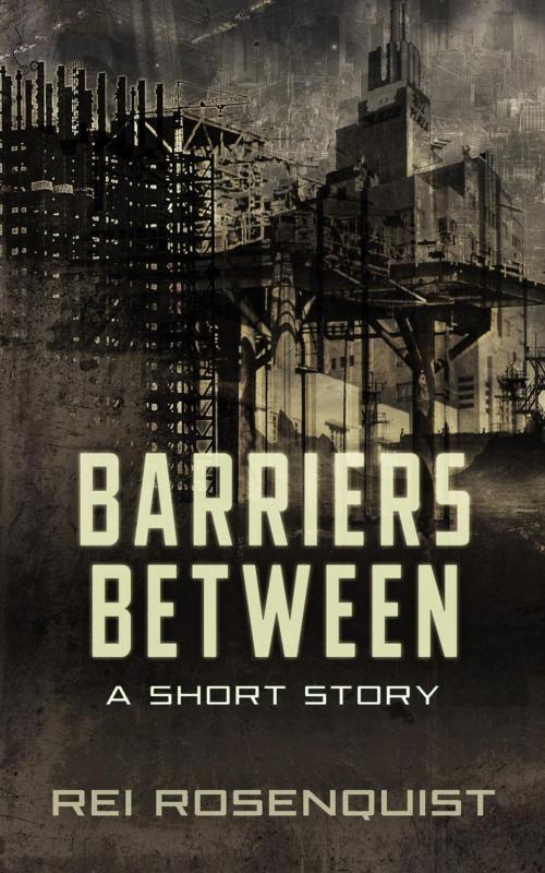 Cover of the book Barriers Between by Rei Rosenquist, Tangled Sky Press