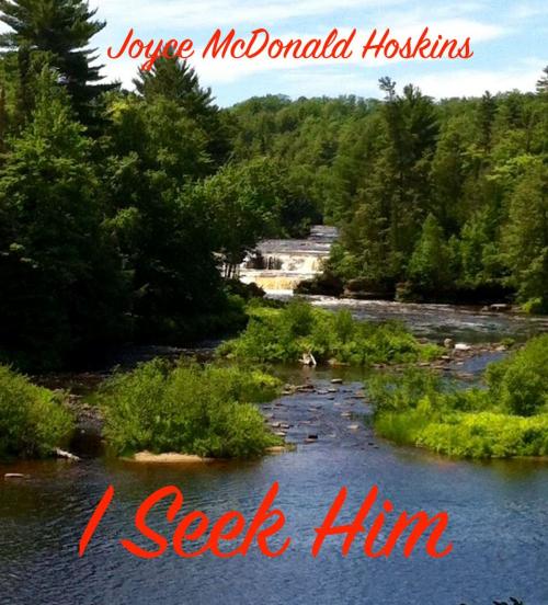 Cover of the book I Seek Him by Joyce McDonald Hoskins, Joyce McDonald Hoskins