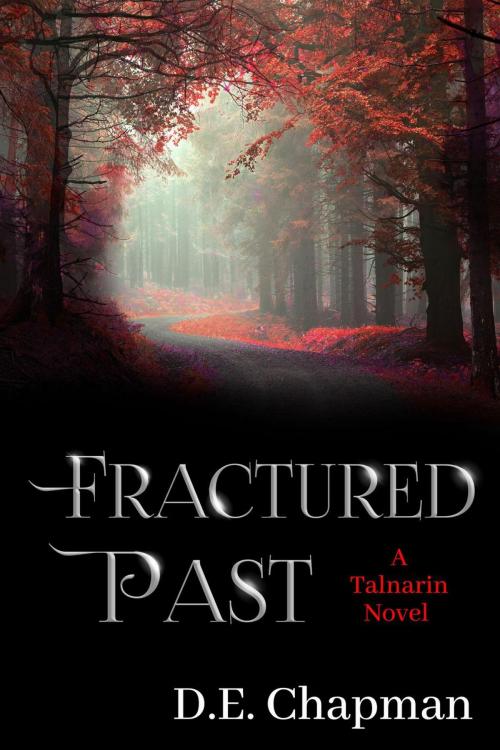 Cover of the book Fractured Past by D.E. Chapman, D.E. Chapman