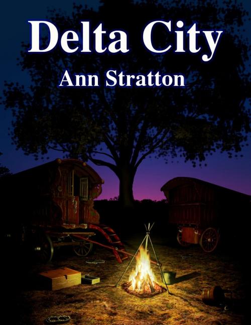 Cover of the book Delta City by Ann Stratton, Ann Stratton