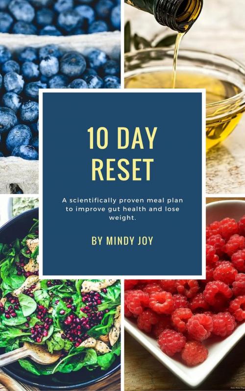 Cover of the book 10 Day Reset by Mindy Joy, Mindy Joy