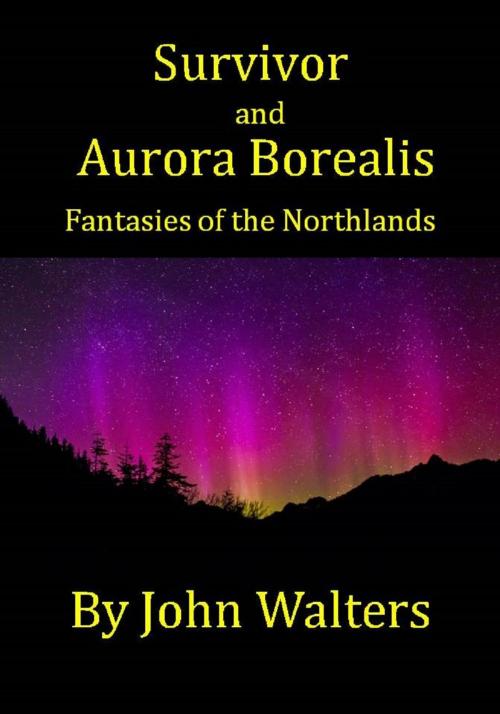 Cover of the book Survivor and Aurora Borealis: Two Fantasies of the Northland by John Walters, John Walters