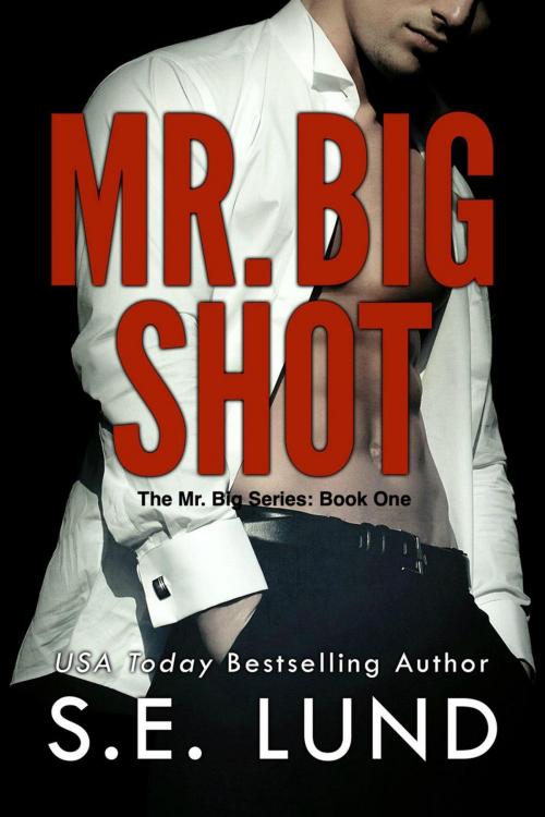 Cover of the book Mr. Big Shot by S. E. Lund, S. E. Lund
