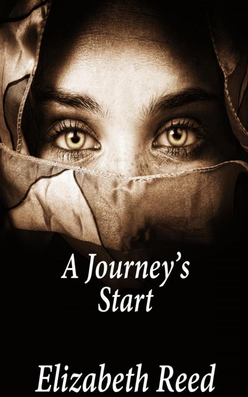 Cover of the book A Journey’s Start by Elizabeth Reed, LB Books