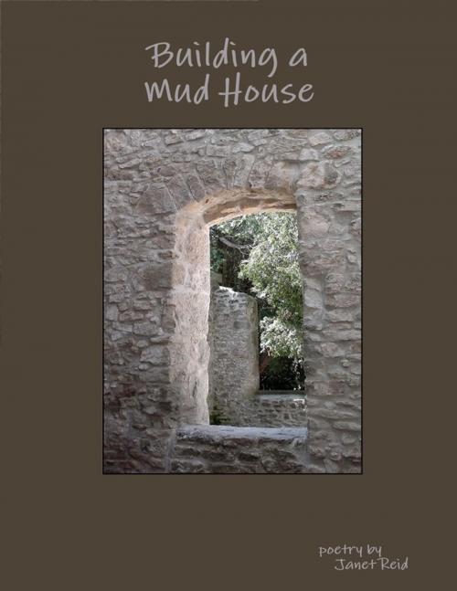 Cover of the book Building a Mud House by Janet Reid, Lulu.com