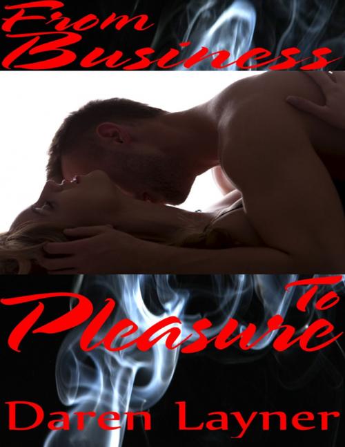 Cover of the book From Business to Pleasure by Daren Layner, Lulu.com