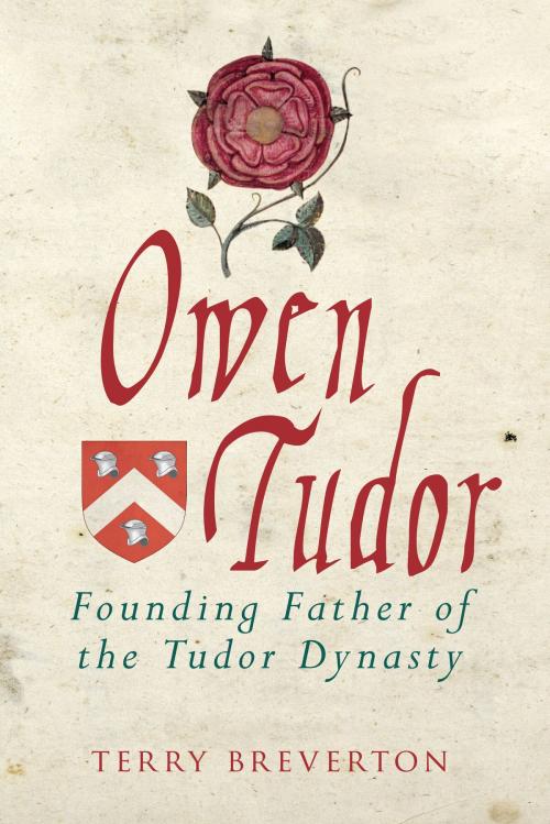 Cover of the book Owen Tudor by Terry Breverton, Amberley Publishing