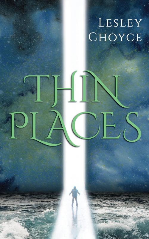 Cover of the book Thin Places by Lesley Choyce, Dundurn