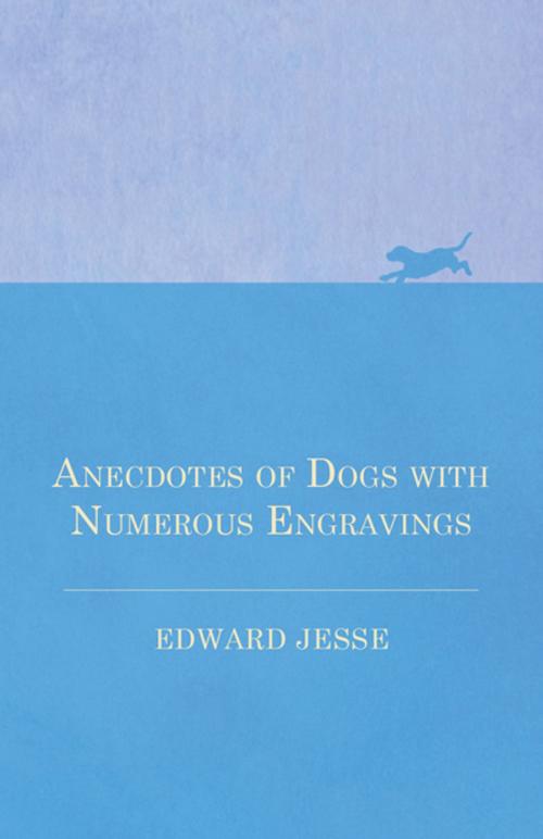 Cover of the book Anecdotes of Dogs with Numerous Engravings by Edward Jesse, Read Books Ltd.