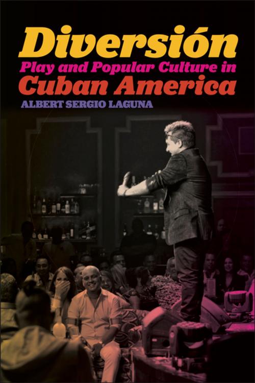 Cover of the book Diversión by Albert Sergio Laguna, NYU Press